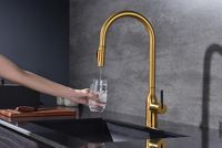 Товар: Смеситель для кухни Paulmark Universal Un213880-BG Брашированное золото - фото 11 Смеситель для кухни Paulmark Universal Un213880-BG Брашированное золото — фото 11, Смесители для кухни