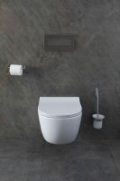 Товар: Унитаз Allen Brau Priority 4.31001.20 подвесной без сиденья - фото 24 Унитаз Allen Brau Priority 4.31001.20 подвесной без сиденья — фото 24, Подвесные унитазы