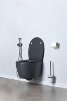 Унитаз Allen Brau Fantasy 4.11004.AN подвесной Антрацит без сиденья — фото 23, Подвесные унитазы