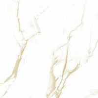 Керамогранит Pardis Ceramic Pazh Helion P16604 60х60 см — фото 3, Керамогранит