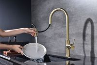 Смеситель для кухни Paulmark Galant Ga213077-SBG Светлое брашированное золото — фото 7, Смесители для кухни