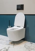 Товар: Унитаз Logan L1W 261951 подвесной с сиденьем Микролифт - фото 16 Унитаз Logan L1W 261951 подвесной с сиденьем Микролифт — фото 16, Унитазы