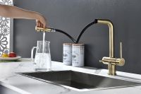 Смеситель для кухни Paulmark Serpentine Se213222-BR Бронза — фото 5, Смесители для кухни