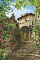 Фреска Ortograf Городской пейзаж 3914 Фактура бархат FX Флизелин (1,8*2,7) Бежевый/Зеленый, Город/Пейзаж — фото 2, Фрески