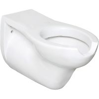 Унитаз для МГН Nofer H50 подвесной без сиденья — фото 1, Подвесные унитазы