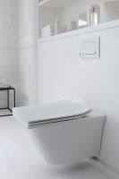 Унитаз Jacob Delafon Grands Boulevards EDW102-00 подвесной без сиденья — фото 2, Подвесные унитазы