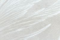 Обои Артекс Dolores 10882-01 Винил на флизелине (1,06*10,05) Белый, Листья/Абстракция — фото 2, Обои для стен