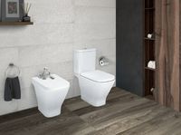 Унитаз компакт Roca The Gap 342477000 без бачка и сиденья — фото 5, Напольные унитазы