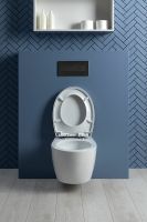 Товар: Унитаз Aquanet ZV-1 303977 подвесной с сиденьем Микролифт - фото 30 Унитаз Aquanet ZV-1 303977 подвесной с сиденьем Микролифт — фото 30, Подвесные унитазы