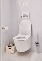 Унитаз Jacob Delafon Bastille EDAB102-00 подвесной без сиденья — фото 10, Подвесные унитазы