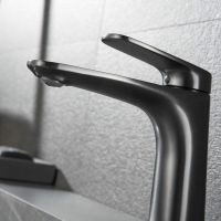 Смеситель для раковины Black&White Universe UK8701MG 8701MG Gun Metal — фото 3, Смесители