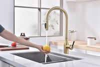 Смеситель для кухни Paulmark Universal Un213880-SBG Светлое брашированное золото — фото 11, Смесители для кухни