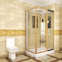 Душевая кабина Niagara Luxe 120x80 NG-7711GR с гидромассажем — фото 2, Душевые кабины