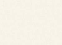 Обои Grandeco Universe 5 VR 1111 Винил на флизелине (1,06*10,05) Бежевый, Штукатурка — фото 2, Обои для стен