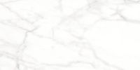 Товар: Керамогранит Lasselsberger Ceramics Каррара Нова белый 6260-0080 30х60 см - фото 1 Керамогранит Lasselsberger Ceramics Каррара Нова белый 6260-0080 30х60 см — фото 1, Керамогранит