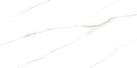 Керамогранит Azario Swiss Cararra Glossy GBT750231 60х120 см — фото 1, Керамогранит