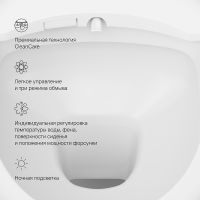 Товар: Унитаз биде AM.PM Awe C111739SC подвесной с сиденьем Микролифт - фото 11 Унитаз биде AM.PM Awe C111739SC подвесной с сиденьем Микролифт — фото 11, Умные унитазы