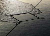 Товар: Сифон для душевого трапа Tece Drainpoint S DN100 горизонтальный без декоративной решетки арт-3607500 - фото 2 Сифон для душевого трапа Tece Drainpoint S DN100 горизонтальный без декоративной решетки арт-3607500 — фото 2, Сифоны для душевого лотка