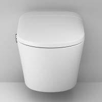 Унитаз-биде AM.PM Sensation CCC301700SC подвесной с сиденьем Микролифт — фото 10, Унитазы