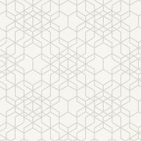 Обои AS Creation Podium 37905-1 Винил на флизелине (1,06*10,05) Белый/Серебряный, Геометрия — фото 1, Обои для стен