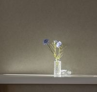 Обои LOYMINA Shade 2 SDR3 012/1 Винил на флизелине (1*10,05) Оранжевый, Рогожка/Однотонные — фото 3, Обои для стен