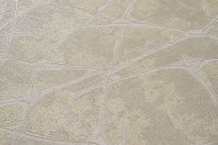 Обои Артекс Dieter Langer Inspiration 10273-03 Винил на флизелине (1,06*10,05) Бежевый, Абстракция — фото 2, Обои для стен