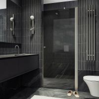 Душевая дверь Maybah Glass MGD-812-5 900x1980 на монопетле Хром матовый стекло графитовое — фото 1, Душевые двери в нишу