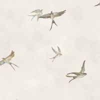 Обои Marburg Essentiell 34791 Винил на флизелине (0,53*10,05) Бежевый/Коричневый, Птицы — фото 1, Обои для стен