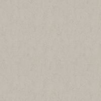 Обои AS Creation Accent 38507-2 Винил на флизелине (1,06*10,05) Серый, Штукатурка — фото 1, Обои для стен