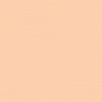 Обои Andrea Rossi Spectrum 54337-14 Винил на флизелине (1,06*10,05) Оранжевый, Однотонные — фото 1, Обои для стен