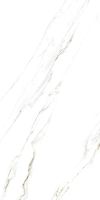 Керамогранит Artcer Marble Calacatta Caldia Poli 885 60х120 см — фото 5, Керамогранит
