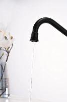 Смеситель для кухни Paulmark Retro Re213226-401 Антрацит — фото 5, Смесители для кухни