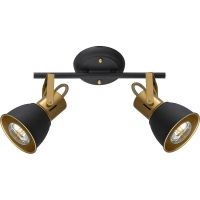 Потолочный светильник Artelamp Jovi A1677PL-2GO Черный Золото — фото 1, Светильники