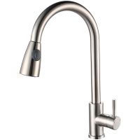 Смеситель для кухни Ростовская Мануфактура Сантехники SUS124-017F-2 Нержавеющая сталь — фото 1, Смесители