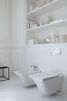 Унитаз Jacob Delafon Grands Boulevards EDW102-00 подвесной без сиденья — фото 5, Подвесные унитазы