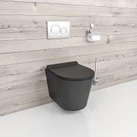 Унитаз beWash Aldo BKWHR101480 подвесной Черный матовый с сиденьем Микролифт — фото 2, Унитазы
