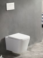 Унитаз Agger AT08100 подвесной с сиденьем Микролифт — фото 3, Подвесные унитазы