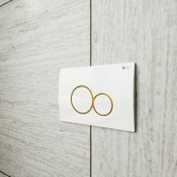 Клавиша смыва Point Виктория PN44061WG Белая Золото — фото 3, Комплектующие для душевого оборудования