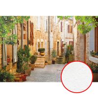 Фреска Ortograf Городской пейзаж 3846 Фактура бархат FX Флизелин (4*2,7) Бежевый/Зеленый, Город/Пейзаж арт-3846 (бархат FX) — фото 1, Фрески