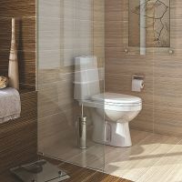 Унитаз компакт Оскольская Керамика Лея Премиум 41301130315 с бачком и сиденьем Микролифт — фото 4, Унитазы