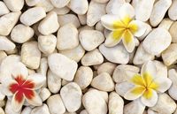 Товар: Фреска Ortograf 3D 30745 Фактура флок FLK Флизелин (4,2*2,7) Бежевый/Красный/Желтый, Цветы/Абстракция - фото 2 Фреска Ortograf 3D 30745 Фактура флок FLK Флизелин (4,2*2,7) Бежевый/Красный/Желтый, Цветы/Абстракция — фото 2, Фрески