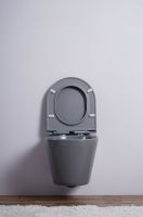 Товар: Унитаз Esbano Clavel ESUPCLAVGM подвесной Серый матовый с сиденьем Микролифт - фото 7 Унитаз Esbano Clavel ESUPCLAVGM подвесной Серый матовый с сиденьем Микролифт — фото 7, Подвесные унитазы