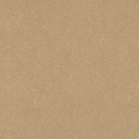 Обои Bernardo Bartalucci Legend 5068-64 Флизелин (1,06*10) Бежевый, Однотонные — фото 1, Обои для стен