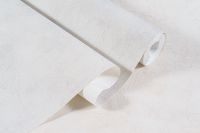 Обои Артекс The Best 3 10709-02 Винил на флизелине (1,06*10,05) Серый, Штукатурка — фото 4, Обои для стен