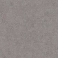 Обои AS Creation History of Art 37656-3 Винил на флизелине (0,53*10,05) Серый, Штукатурка — фото 1, Обои для стен