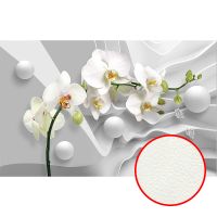 Фреска Ortograf 3D 6709 Фактура флок FLK Флизелин (4,3*2,7) Серый/Белый, Цветы/Абстракция — фото 1, Фрески