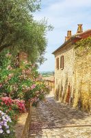 Фреска Ortograf Городской пейзаж 5120 Фактура флок FLK Флизелин (1,8*2,7) Бежевый/Зеленый/Голубой, Город/Пейзаж/Цветы — фото 2, Фрески