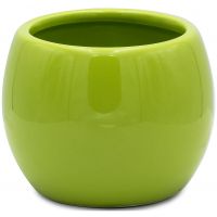 Стакан для зубных щеток Ridder Belly 2115105 Зеленый — фото 1, Стаканы для зубных щеток