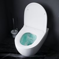 Комплект унитаза с инсталляцией AM.PM Awe FlashClean IS47001.111700 с сиденьем Микролифт и Белой клавишей смыва — фото 15, Унитазы