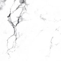 Товар: Керамогранит Arcadia Ceramica Borghini silver CR4006-A 60х60 см - фото 12 Керамогранит Arcadia Ceramica Borghini silver CR4006-A 60х60 см — фото 12, Керамогранит